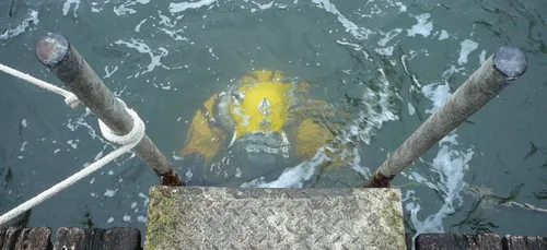 Saône-et-Loire : un corps repêché dans la Saône