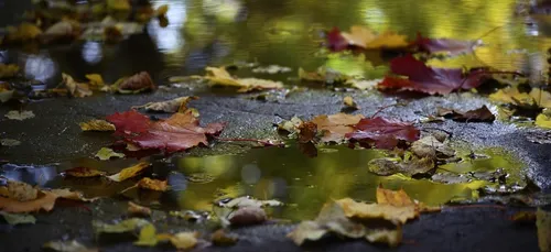 Angers : le corps retrouvé vendredi dernier a été identifié !