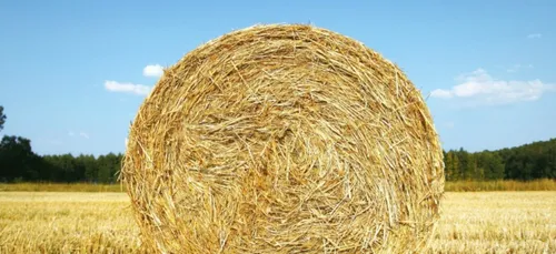 Nièvre : les agriculteurs fêtent la première année de Macron à leur...