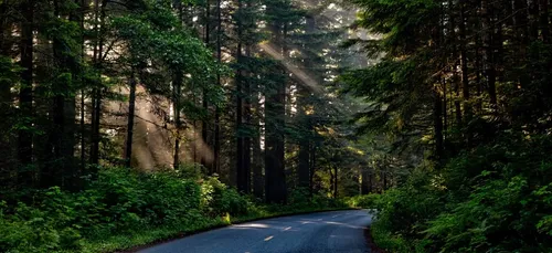 Yonne : un accident de la route fait deux morts