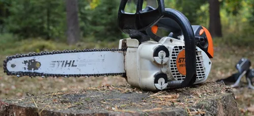 Ils auraient dérobé plus de 80 outils de jardinage