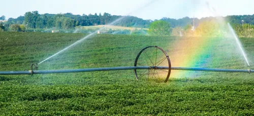 Canicule : l’usage de l’eau restreint dans 37 départements