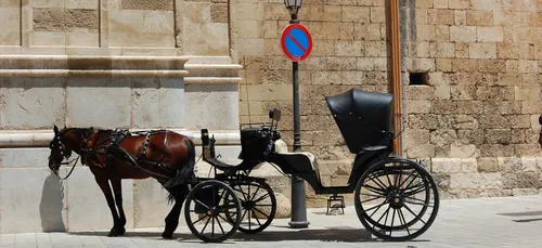 Maine-et-Loire : une calèche termine dans un fossé