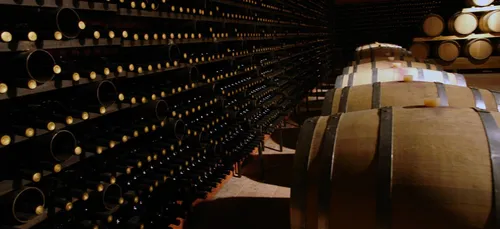 Auxerre : 15 000€ de vins dérobés chez un particulier