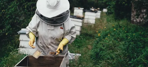 Yonne : une cagnotte pour aider une apicultrice, après un incendie