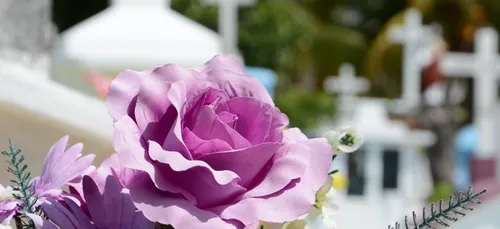 Cher : enfin un dernier hommage pour Arthur Noyer !