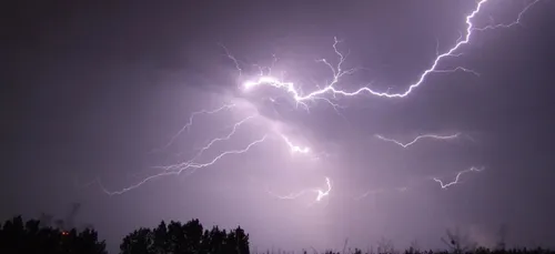 Foyers sans électricité, arbre tombé... : les orages font des dégâts