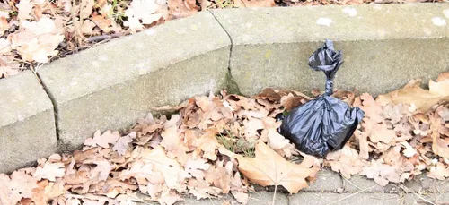 Nièvre : c’est la crotte de trop !