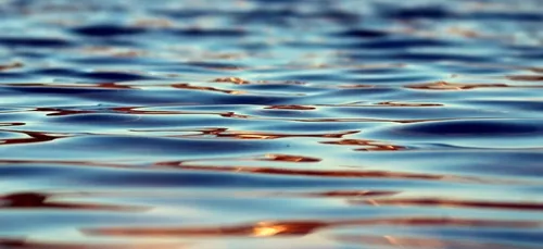 Maine-et-Loire : un corps repêché dans un plan d'eau