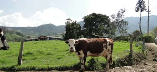 Sécheresse : la FDSEA appelle les agriculteurs à se rebeller