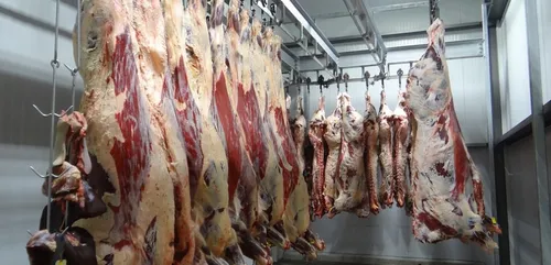 Indre : l’association L214 provoque la fermeture d’un abattoir