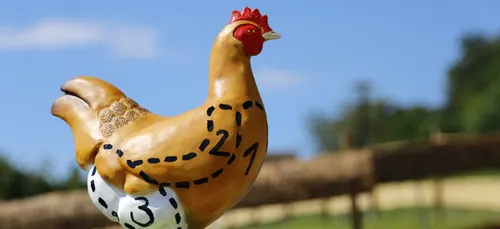 Nièvre : des riverains mécontents par l’odeur d’un poulailler