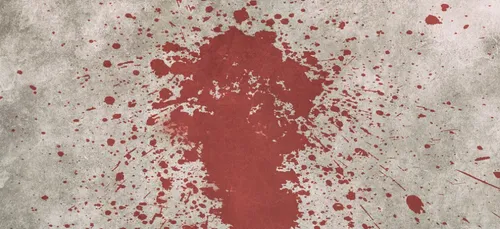 Essonne : il égorge son « ami » en pleine rue