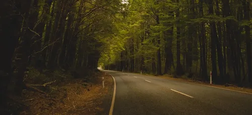 Sarthois : on a besoin de votre avis sur la route de Saint-Calais !
