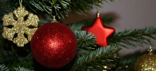 Nevers : les petits frères des Pauvres ont besoin de vous !