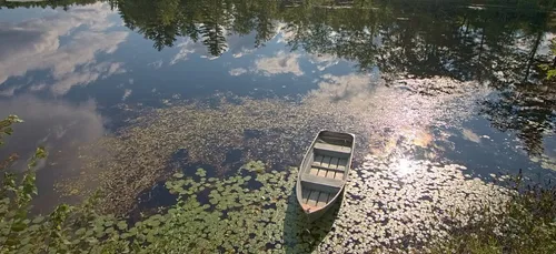 Yonne : un pêcheur tombe dans l’eau et se noie