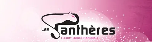 Loiret : une handballeuse suédoise stoppe sa carrière pour une...