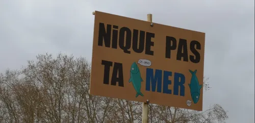 De nouveaux rassemblements en région pour le climat