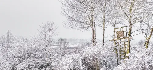 Tempête Gabriel : la neige de nouveau attendue dans nos régions...