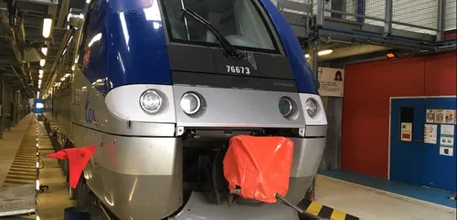 Bourgogne : 100 collisions entre les trains et les animaux ont lieu...