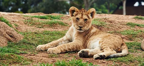 Une saison au zoo : le zoo de la Flèche recherche ses prochains...
