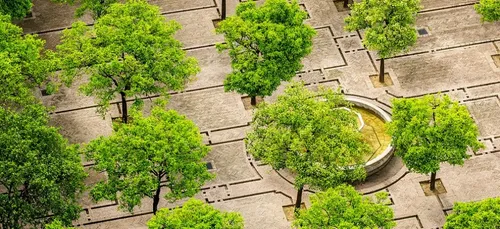 Angers : le maire de la commune veut planter 30 000 arbres !