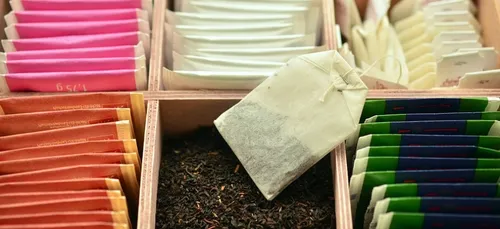 Yonne : peut-on lire la fertilité des sols des vignobles dans les...