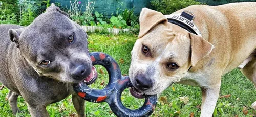 Dans l’Yonne, deux sœurs ont ouvert leur site de e-commerce pour...