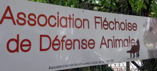 La Flèche : l’AFDA recherche des bénévoles