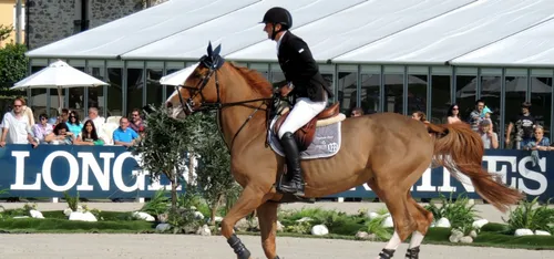 Poitiers : un champion olympique dépouillé par une Berrichonne