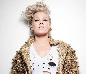 Quand Pink recadre un internaute sur Instagram (Photo)