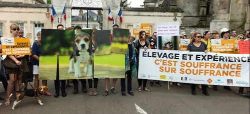 Mézilles : One Voice poursuit son combat pour fermer l’élevage de...