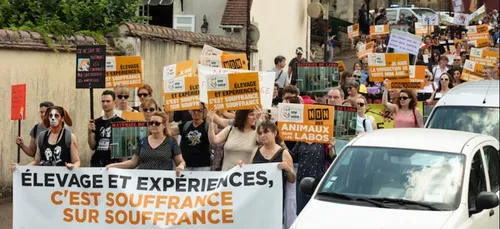 Élevage à Mézilles : la cour d’appel de Paris condamne One Voice