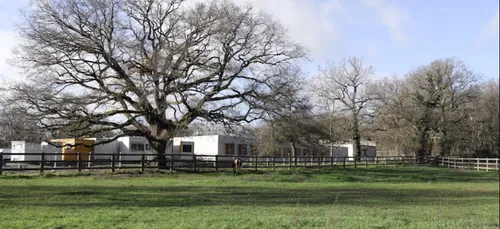 Lion d’Angers : l’association SOS Villages d’enfants recrute en...