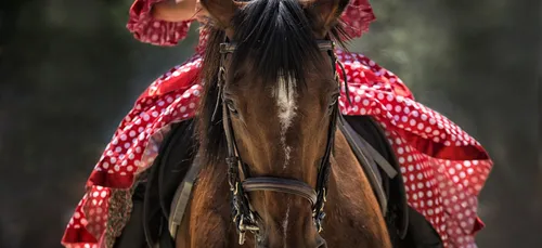 Assurances : que faire quand votre enfant ne peut plus aller à...