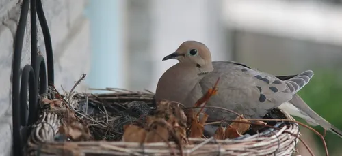 L’État en justice pour avoir manqué à son devoir de protection des...