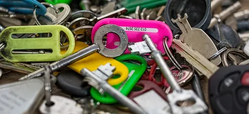 Beauval : le ZooParc recherche des logements pour ses saisonniers !