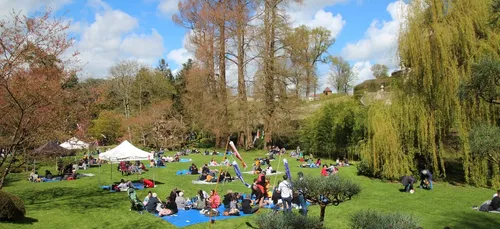 Anjou : fréquentations exceptionnelles au Parc Oriental de...