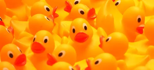 Duck Race à Orléans : 35 000 canards attendent de trouver preneur