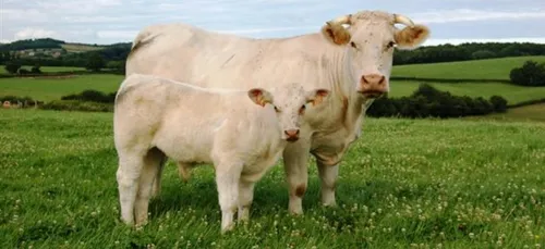 Nièvre : Agrilocal 58, une plateforme pour manger sain et local !