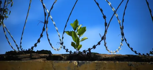 Yonne : un collectif prend la défense de la culture en milieu carcéral