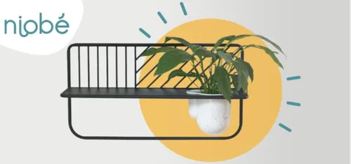 Nièvre : Niobé lance un financement participatif pour fabriquer des...