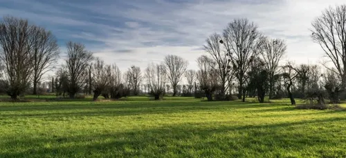 Nièvre : des ossements humains ont été retrouvés à Moux-en-Morvan