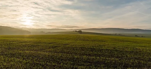 Indre : l'investisseur chinois qui rachetait des champs a fait...