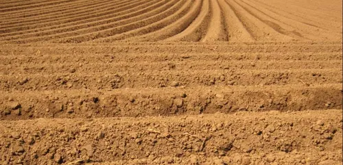 Loiret : les slips sortent de terre !