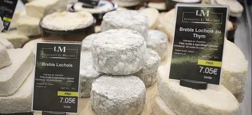Indre-et-Loire : des fromages de brebis rapatriés pour cause de...