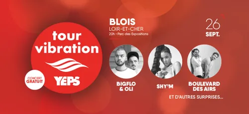 Tour Vibration 2019 : la liste des artistes présents se précise,...