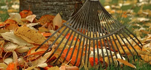 Sens : les déchets végétaux bientôt interdits dans les poubelles