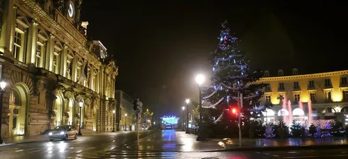 Tours : la ville recherche son sapin de Noël !