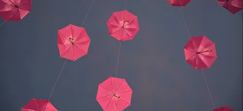 Octobre Rose : le programme des animations prévues à Bourges